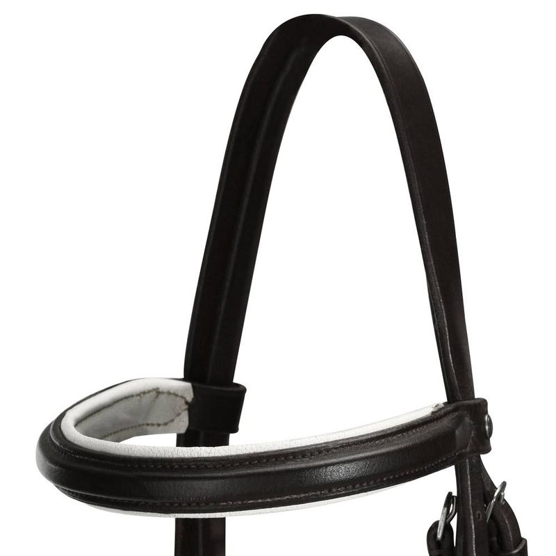 essen-reins-black-fs5