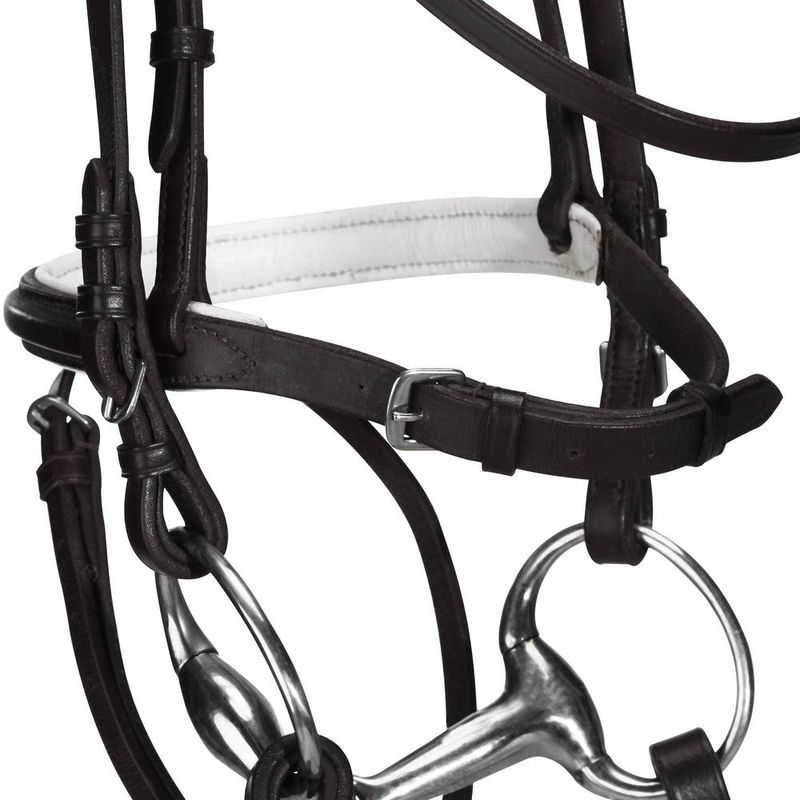 essen-reins-black-fs8