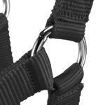 halter-schooling-black-46